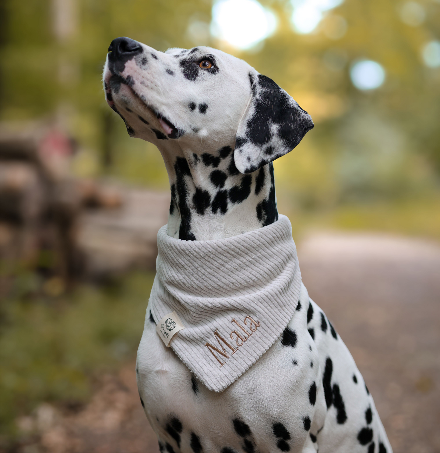 Cord-Hundehalstuch CREME