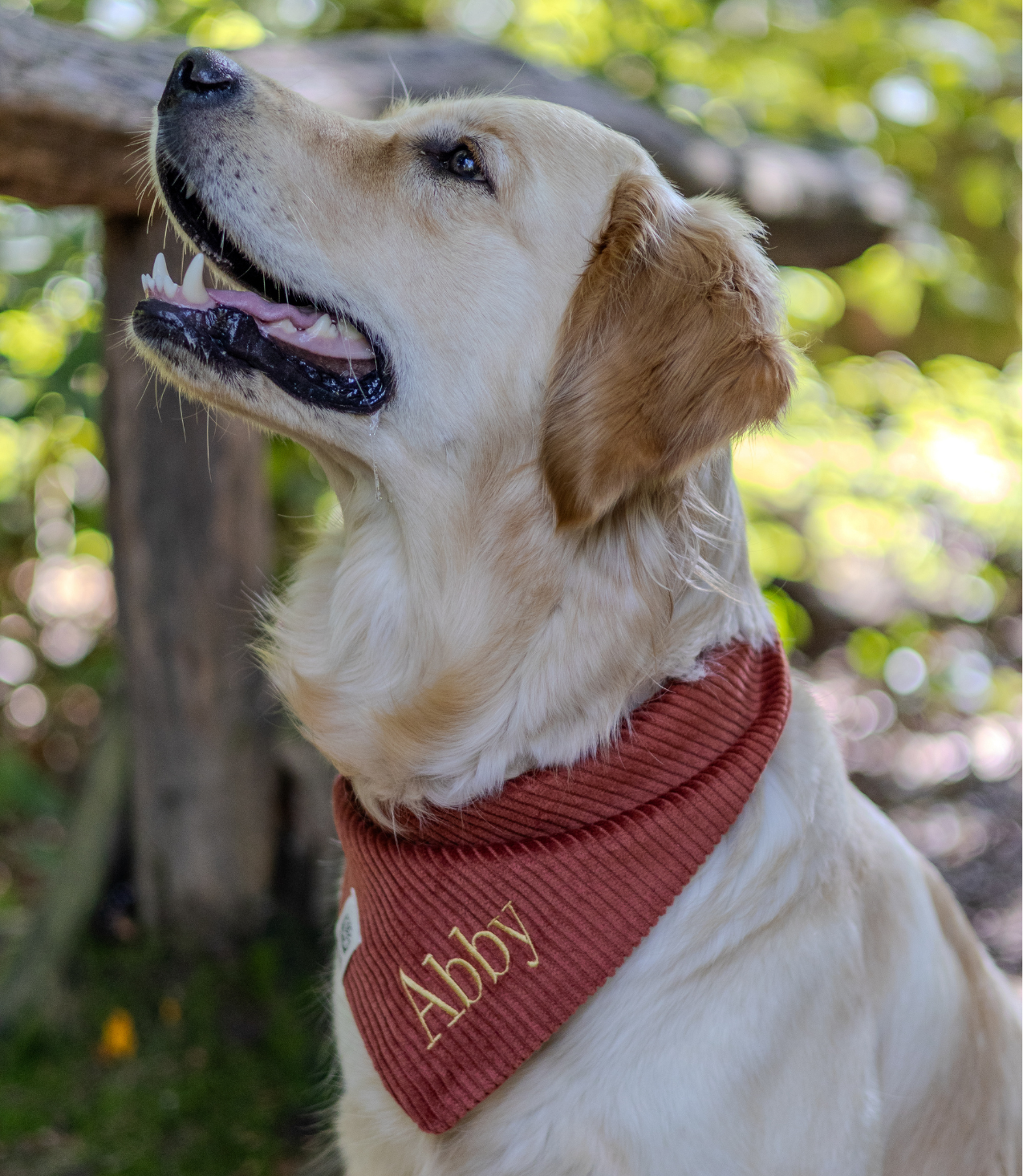 Cord-Hundehalstuch ROST