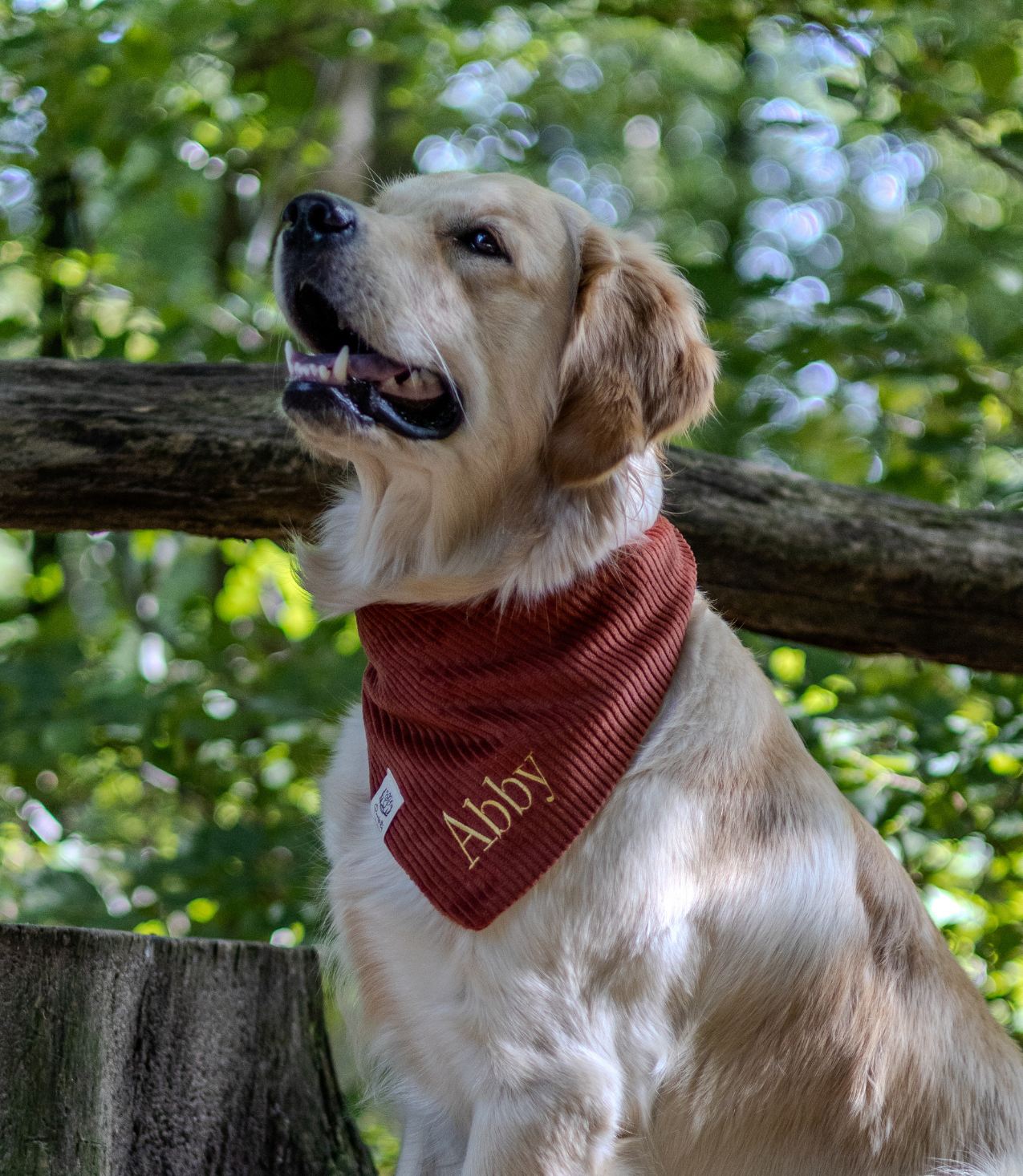 Cord-Hundehalstuch ROST