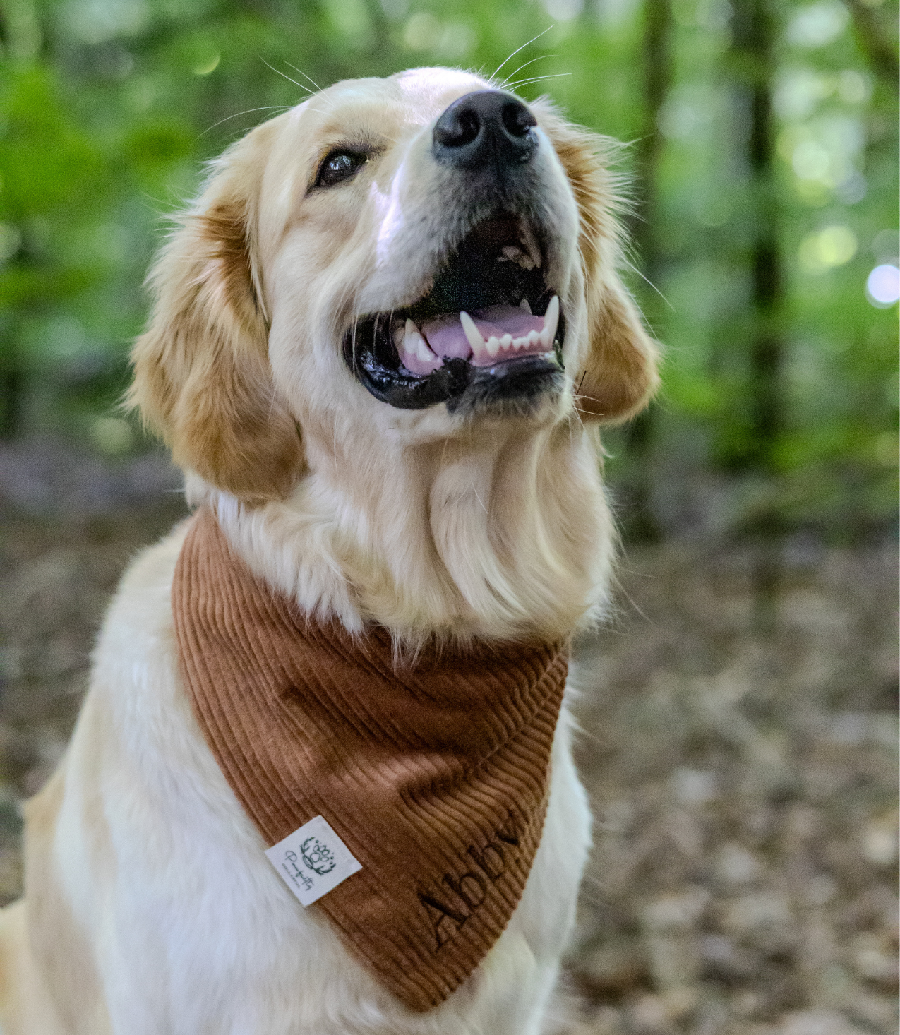 Cord-Hundehalstuch COGNAC