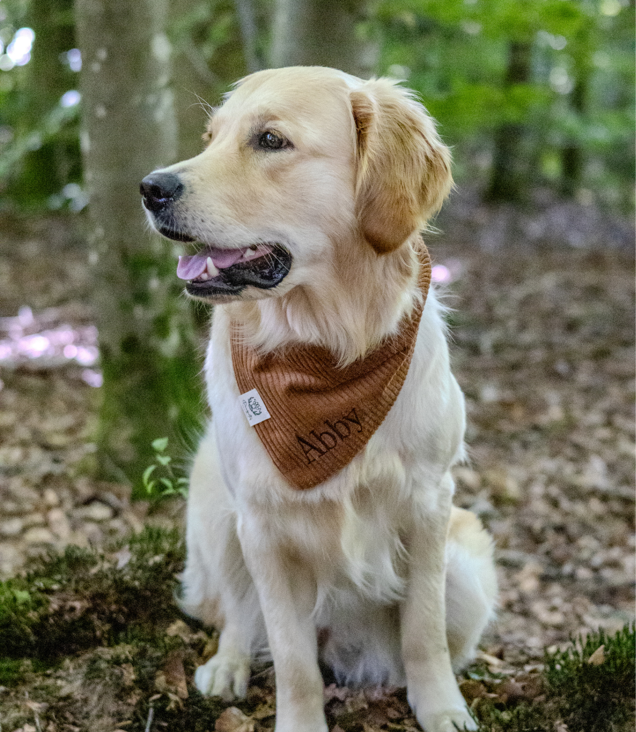 Cord-Hundehalstuch COGNAC
