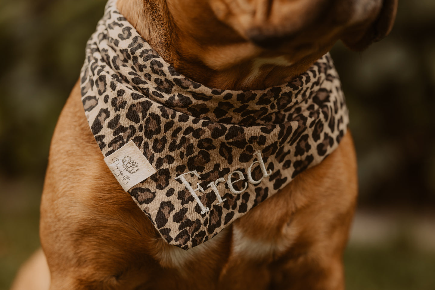 Musselin Hundehalstuch LEO