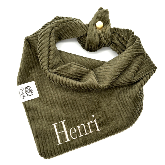 Cord-Hundehalstuch OLIV