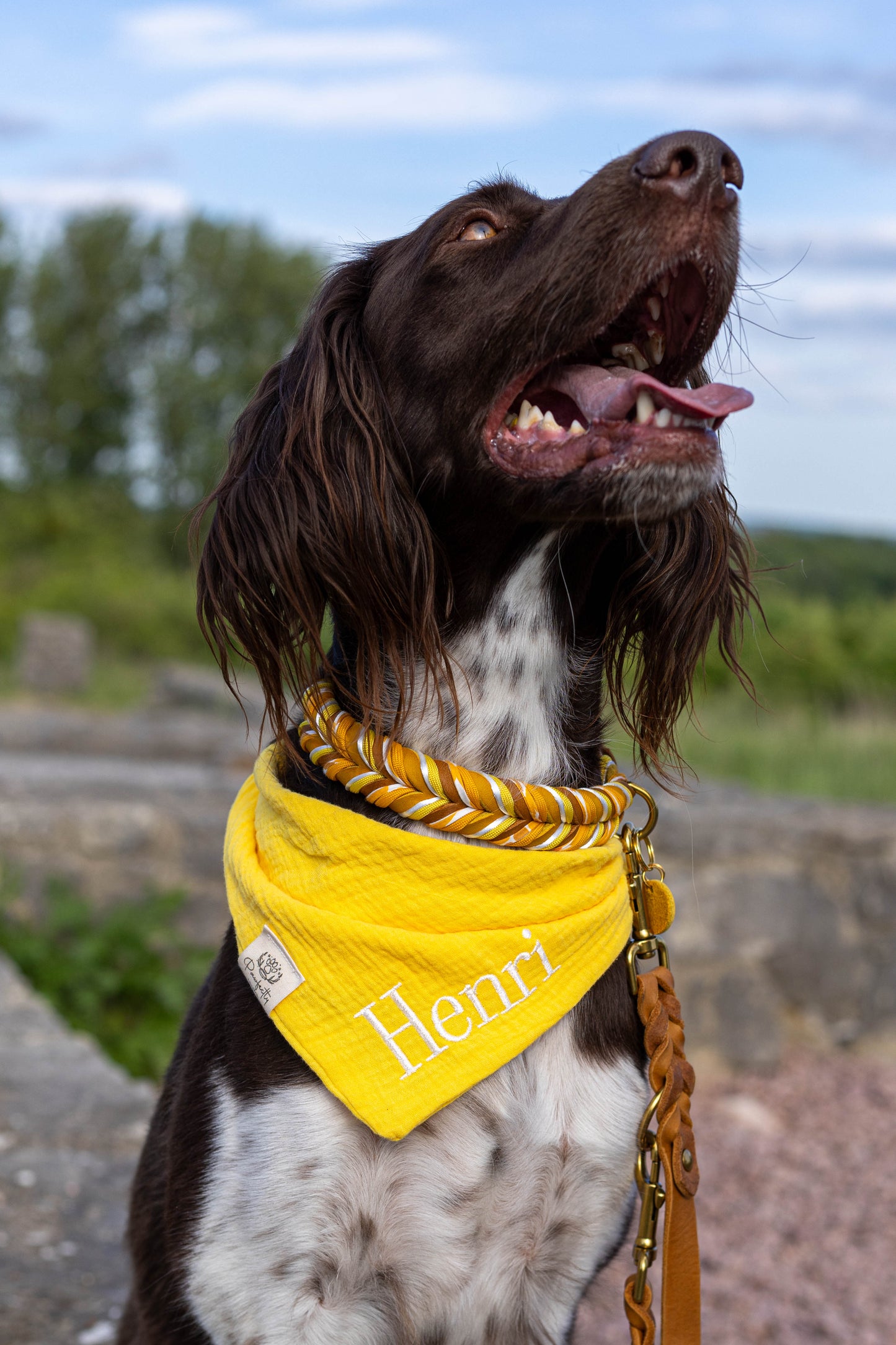 Musselin Hundehalstuch GELB