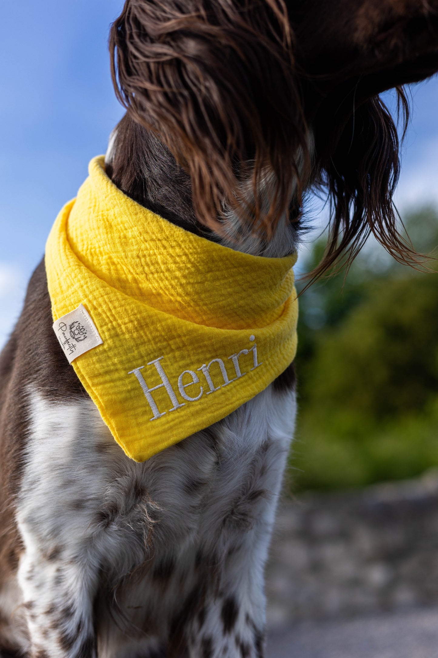 Musselin Hundehalstuch GELB