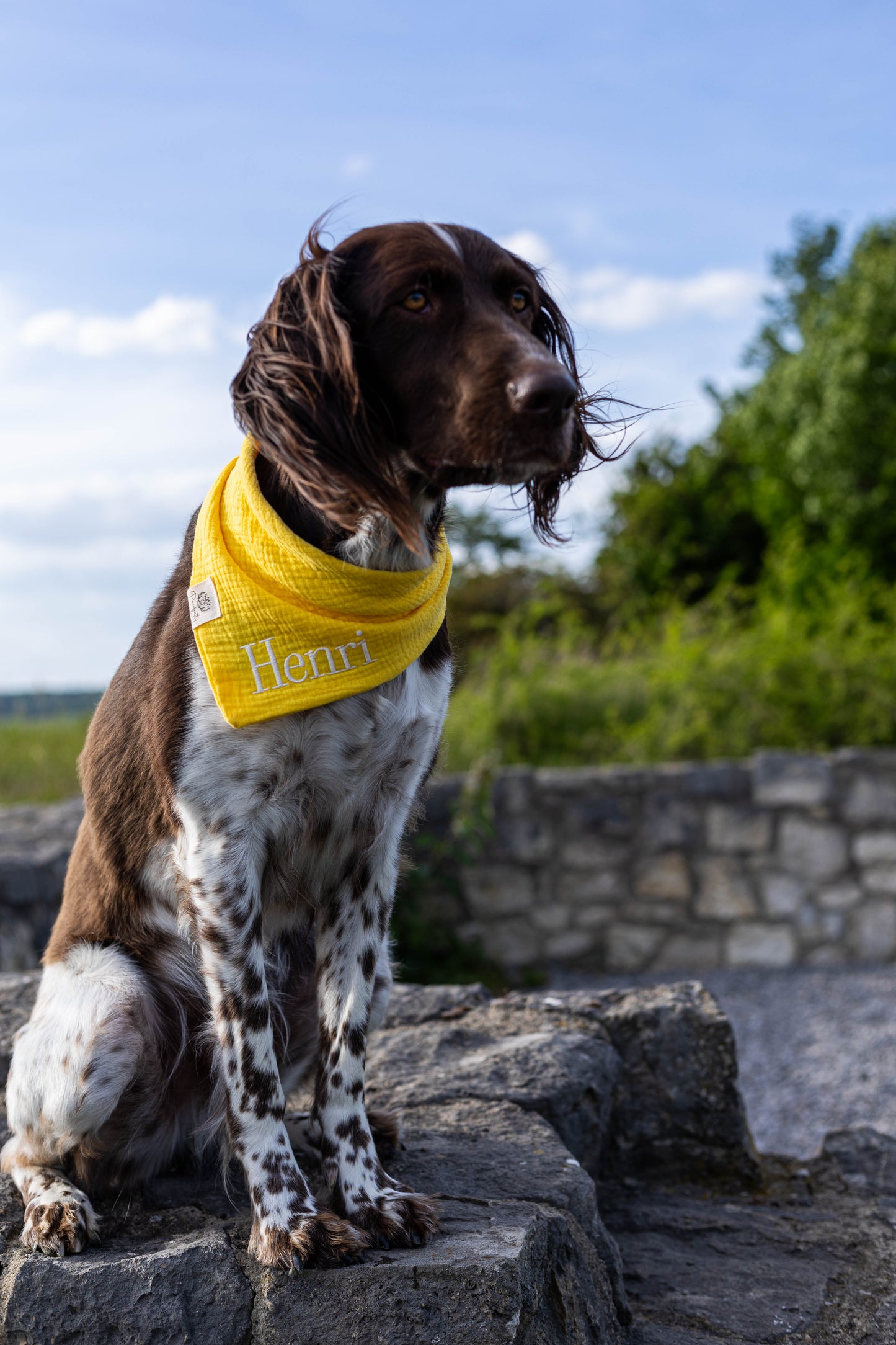 Musselin Hundehalstuch GELB