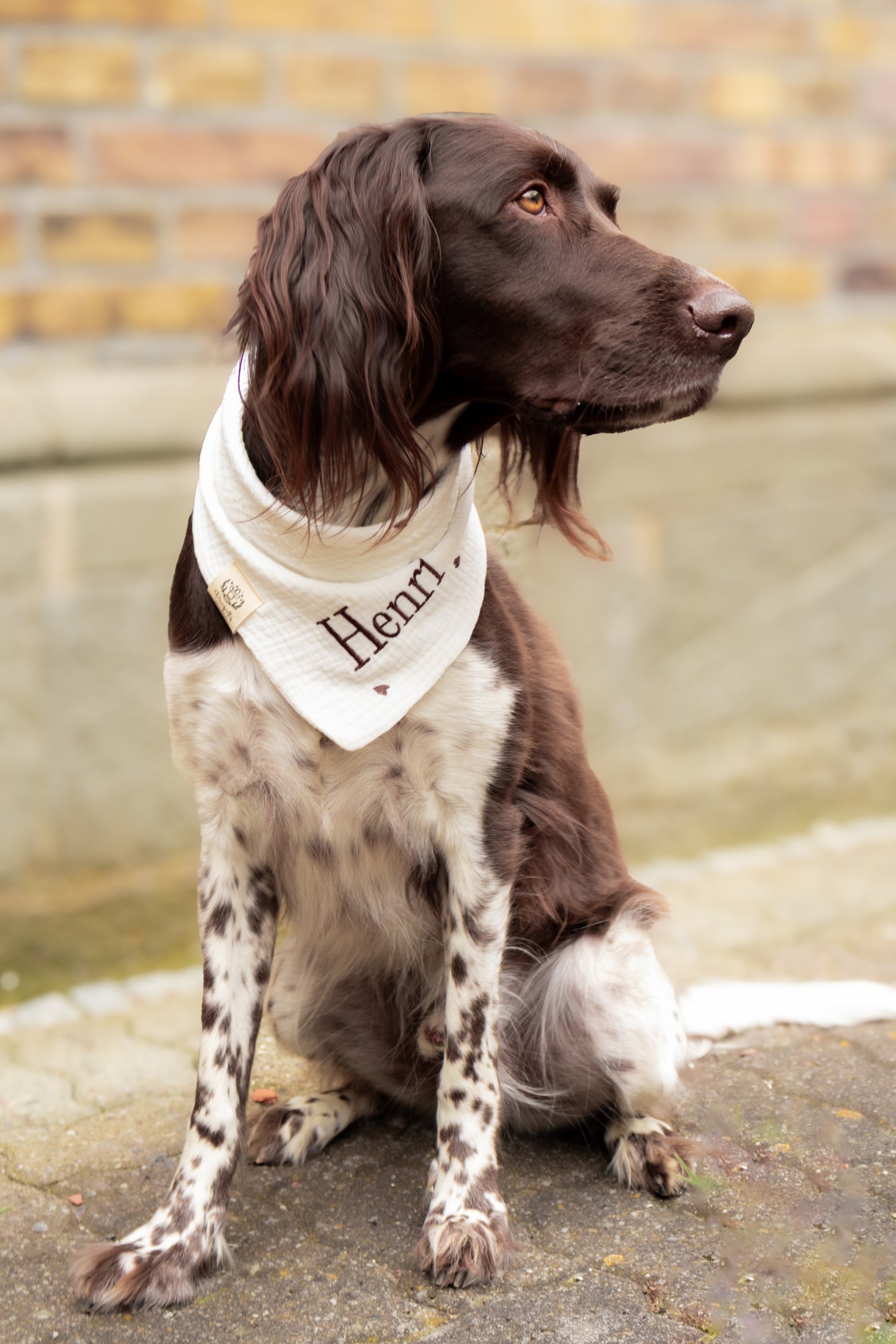 Musselin Hundehalstuch HERZCHEN BRAUN