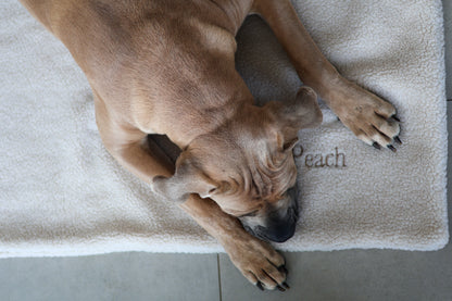 Teddy Hundedecke CREME