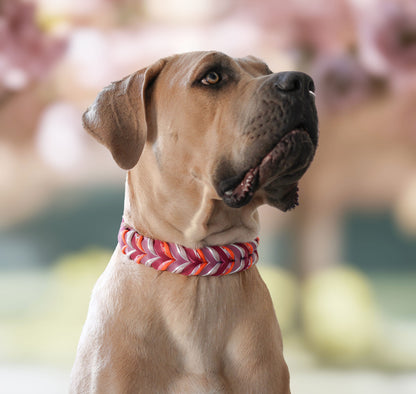 Fettleder Halsband "DAHLIA"