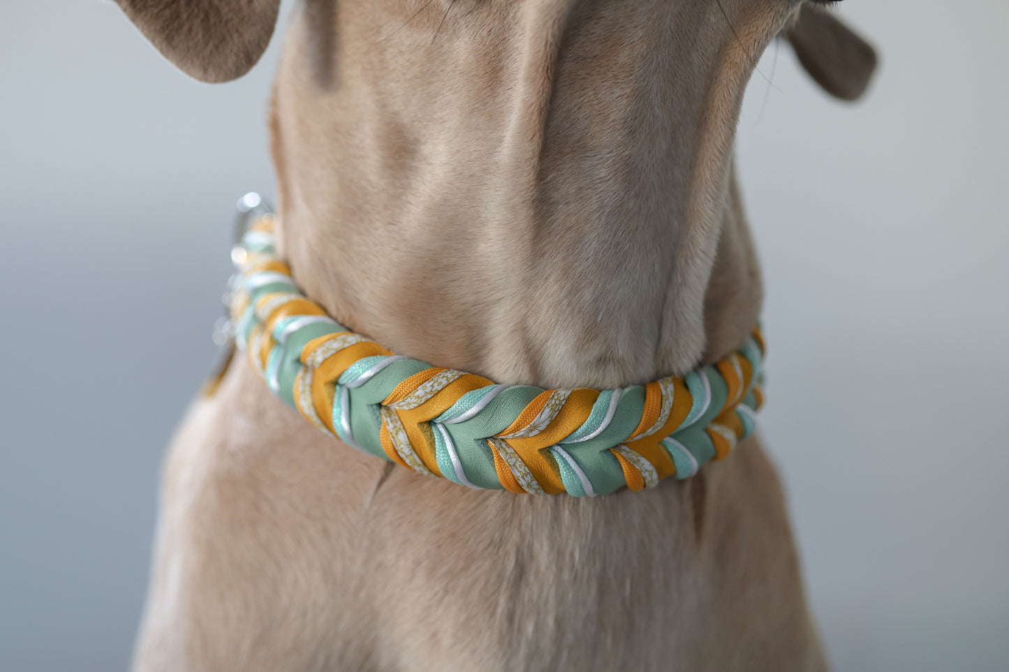 Fettleder Halsband "BUTTERCUP"