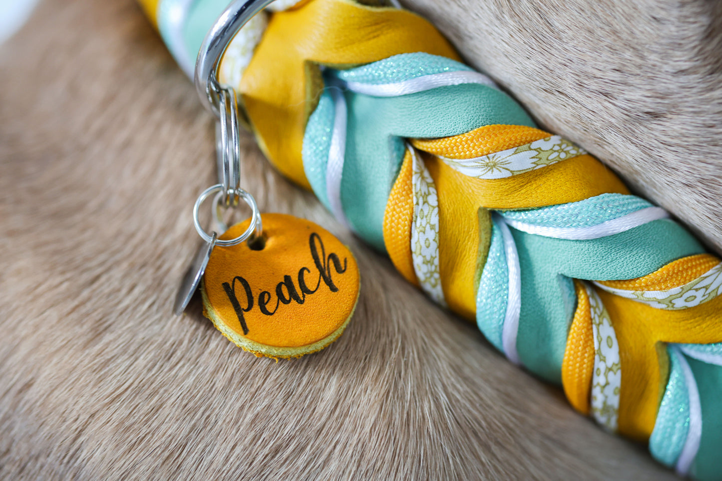 Fettleder Halsband "BUTTERCUP"