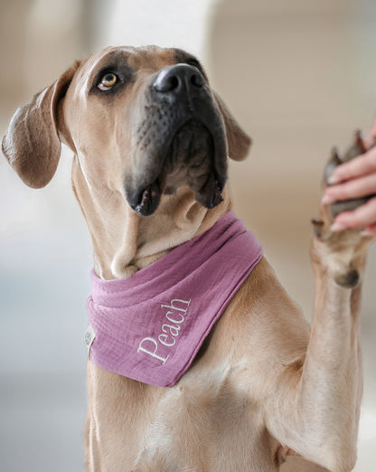 Musselin Hundehalstuch MALVE