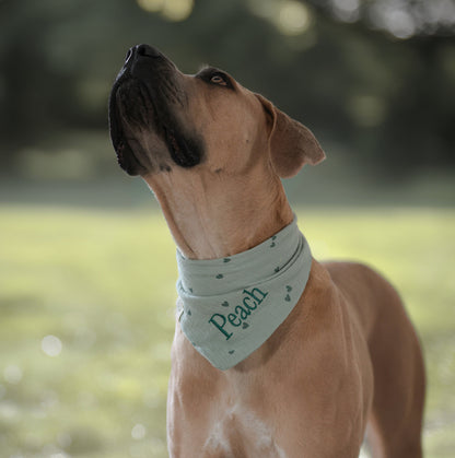 Musselin Hundehalstuch HERZCHEN GRÜN