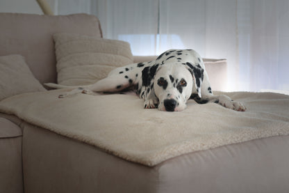 Teddy Hundedecke CREME
