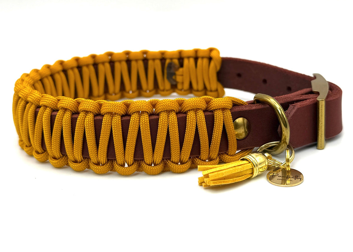 Fettleder Halsband Slim Line "PUMPKIN SPICE"