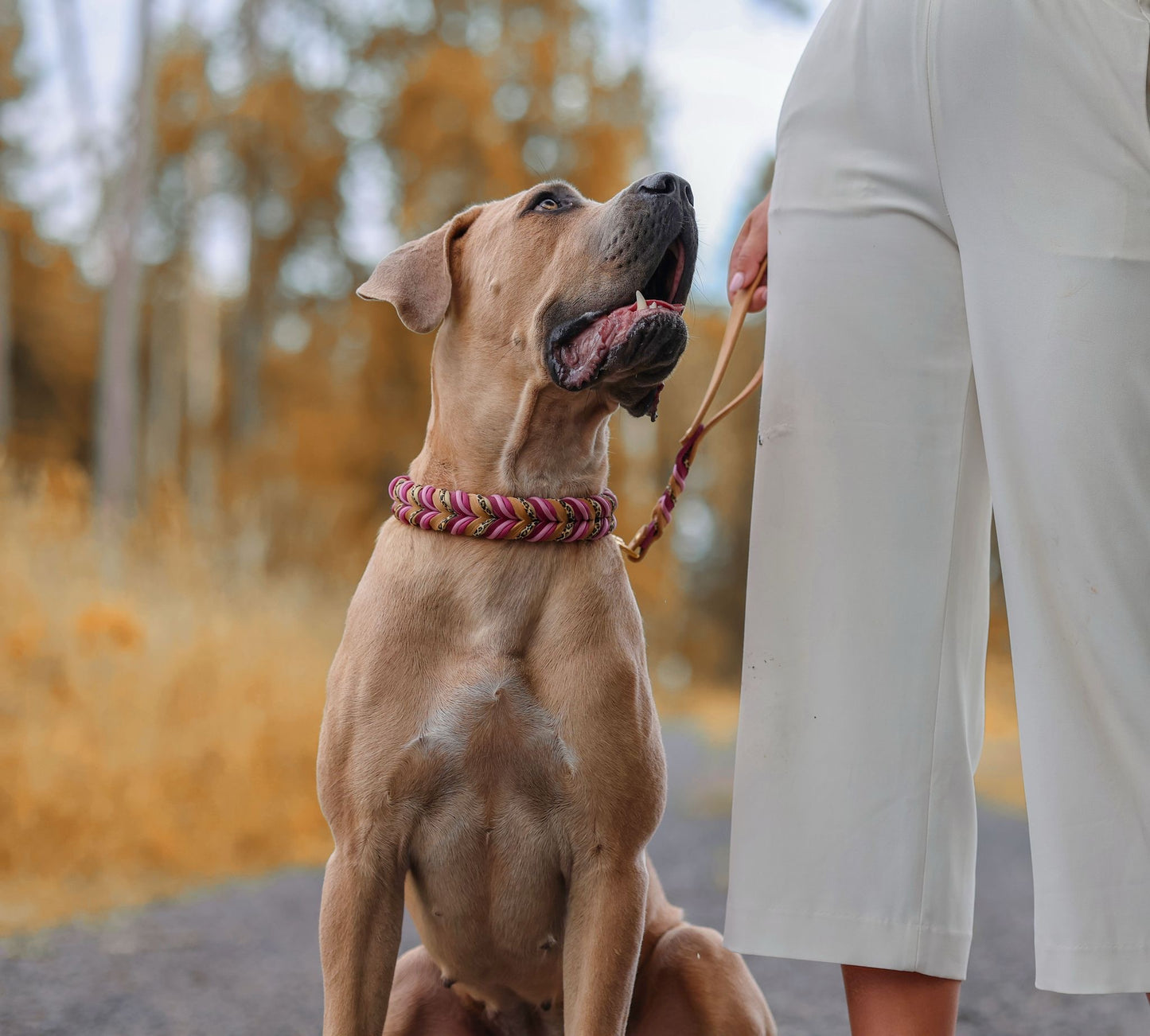 Modell "LADY LEO"