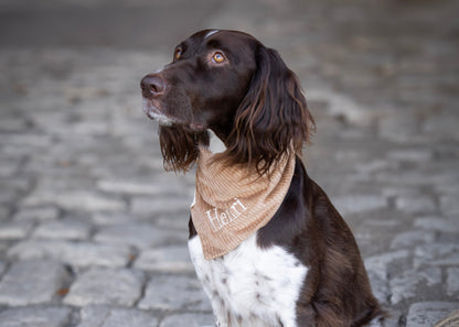 Cord-Hundehalstuch SAND