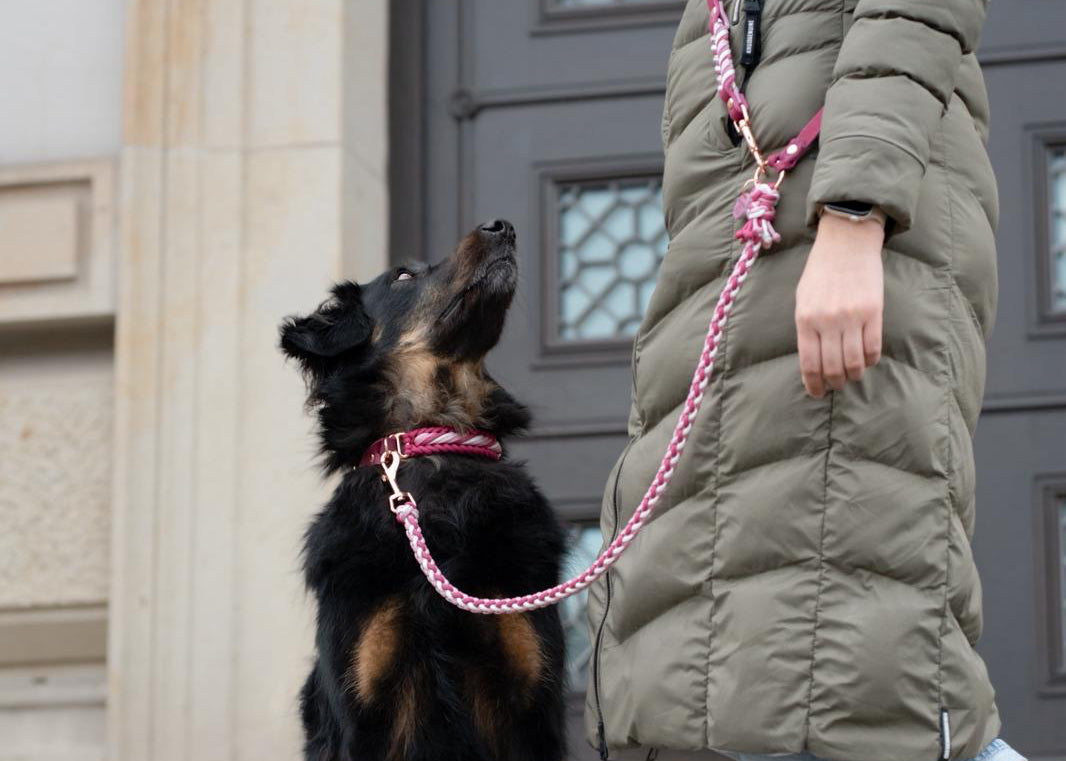 Crossbody Leine "PINK LADY"
