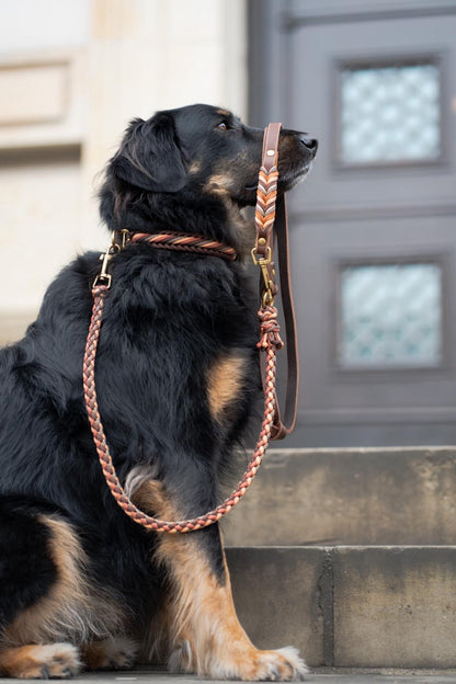 Crossbody Leine "CHOCOLATE NEGRONI"
