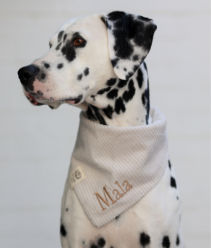 Cord-Hundehalstuch CREME