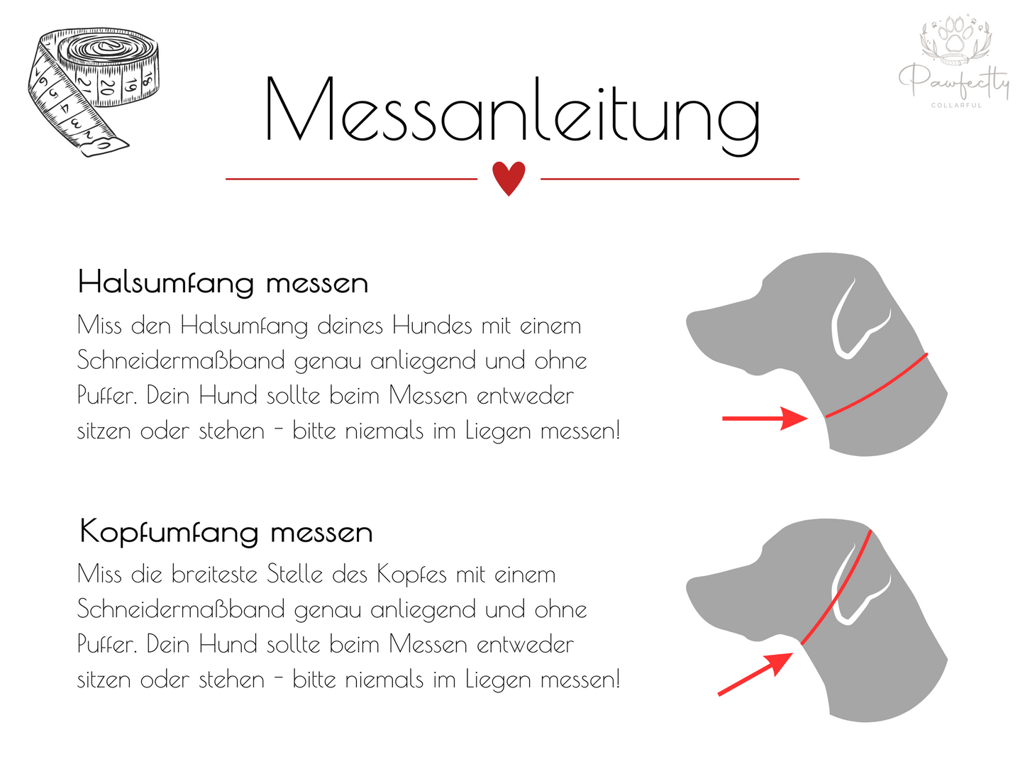 Hundehalsband und Leine aus Fettleder - Modell "ROSEMARY"