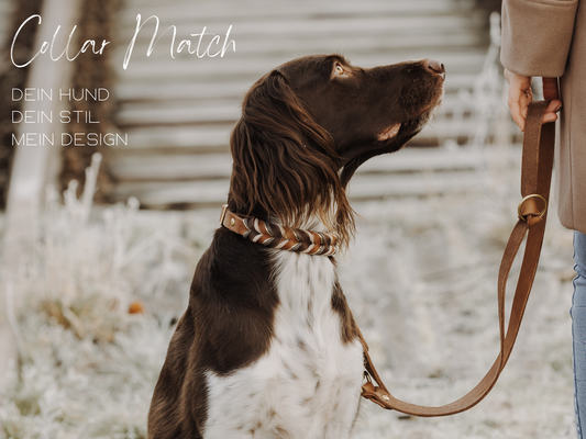 Collar-Match