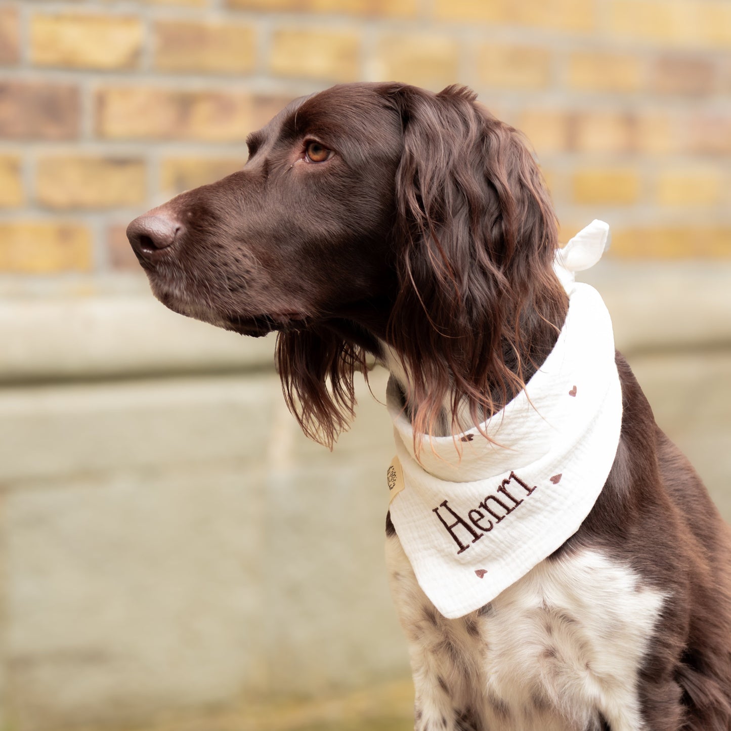 Musselin Hundehalstuch HERZCHEN BRAUN