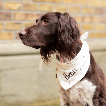Musselin Hundehalstuch HERZCHEN BRAUN
