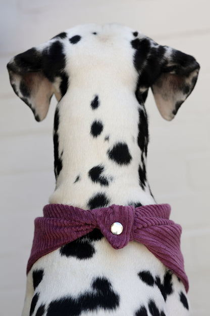 Cord-Hundehalstuch PFLAUME