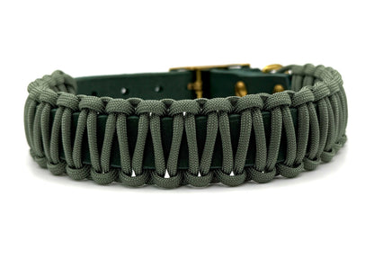 Fettleder Halsband Slim Line "PINE GROVE"
