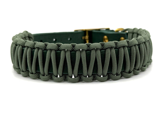 Fettleder Halsband Slim Line "PINE GROVE"