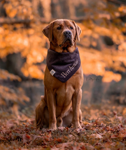 Cord-Hundehalstuch DUNKELBRAUN