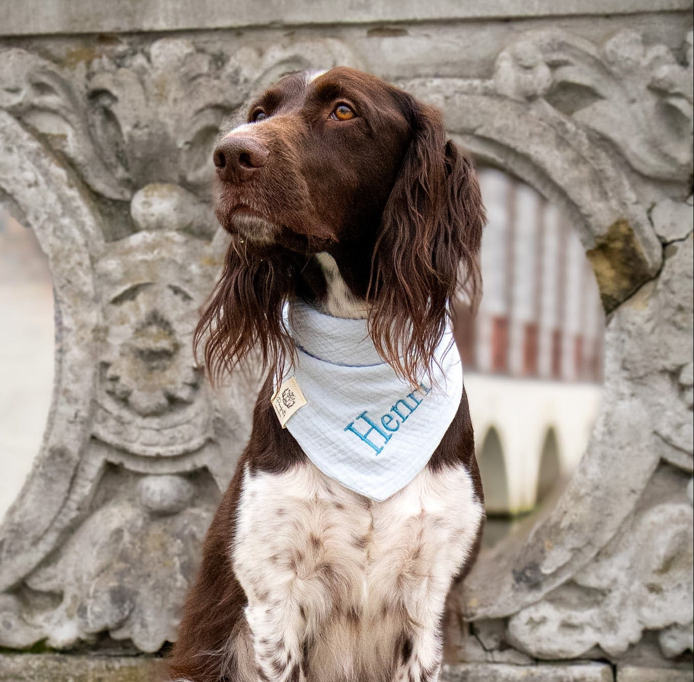 Musselin Hundehalstuch EISBLAU