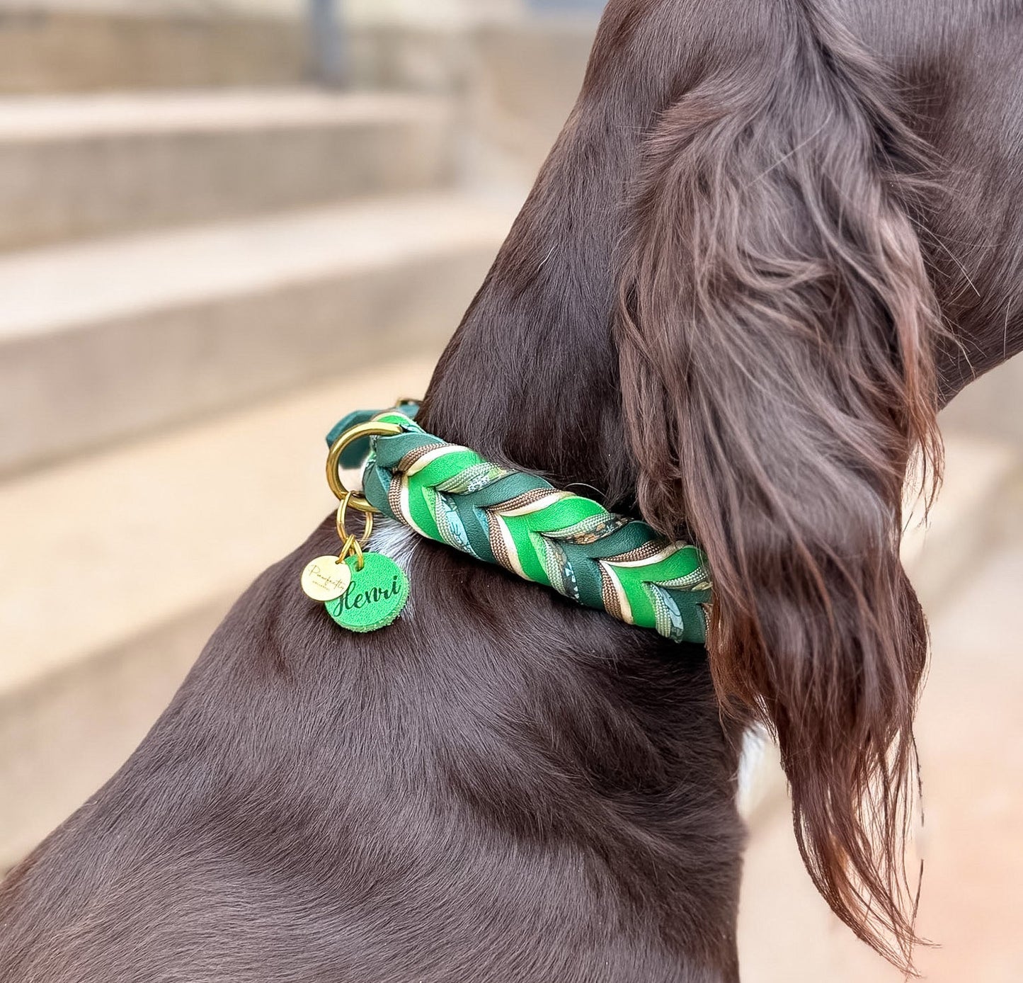 Fettleder Halsband "CLOVER"