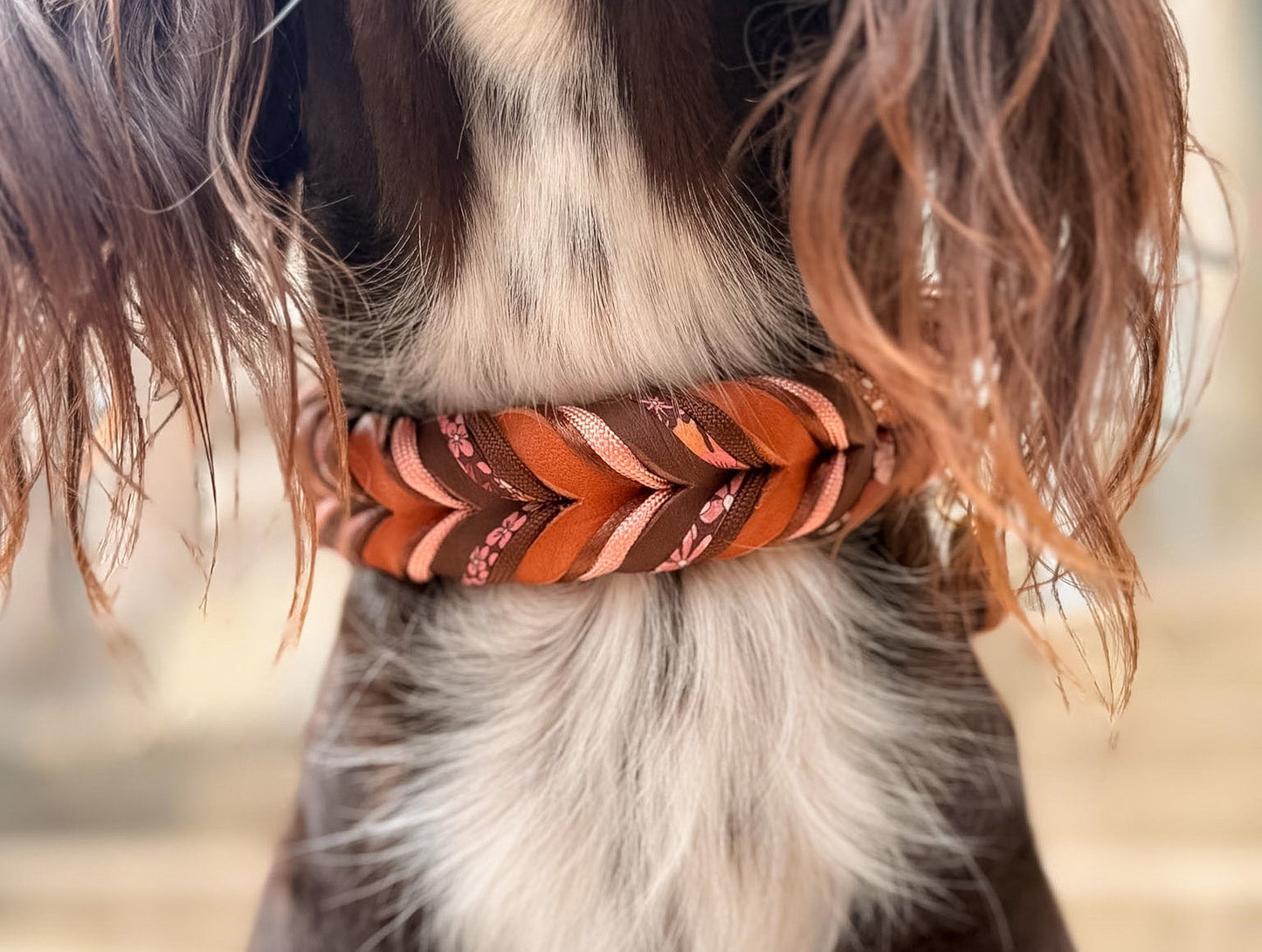 Fettleder Halsband "CHOCOLATE LILY"