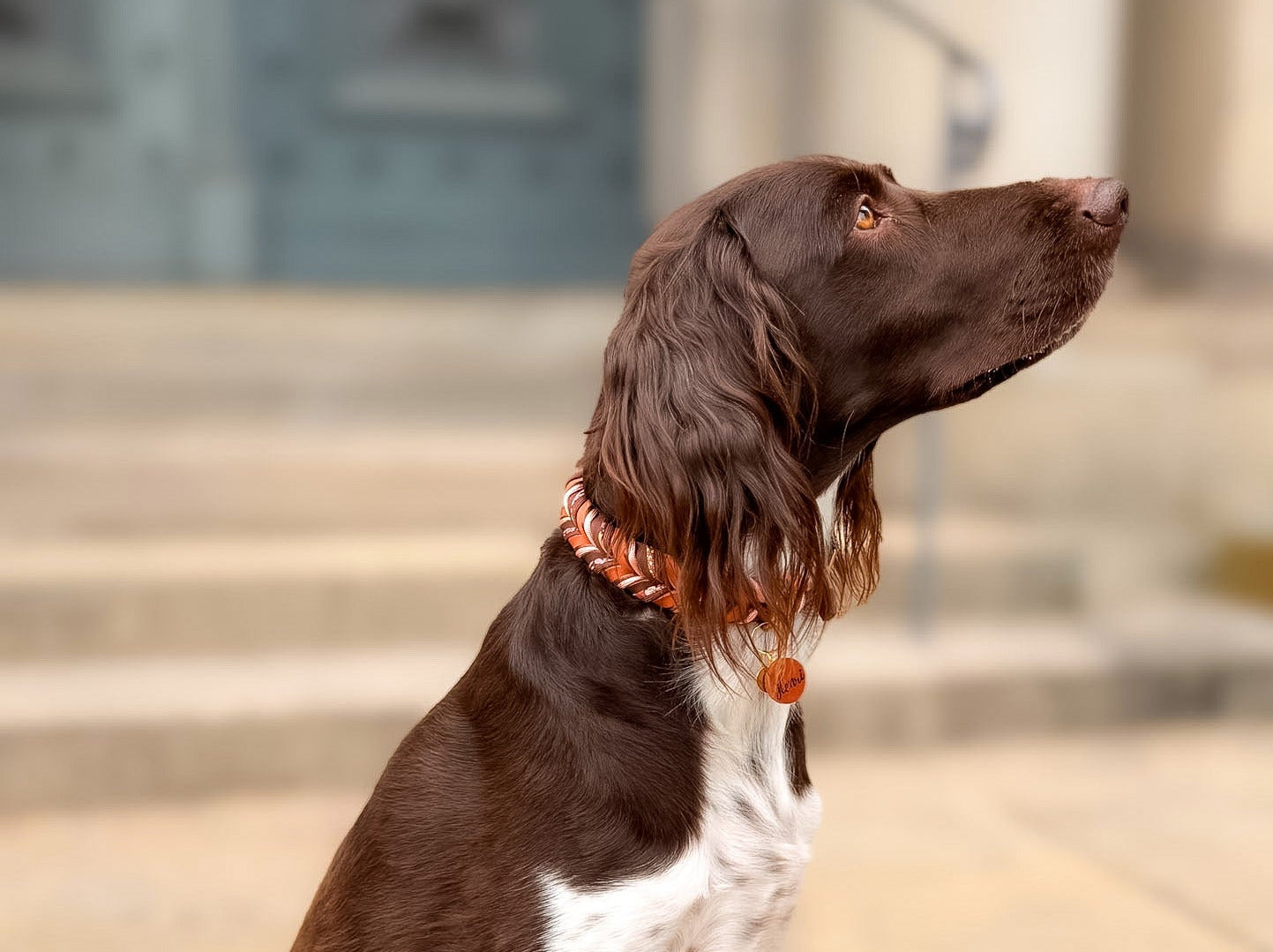Fettleder Halsband "CHOCOLATE LILY"