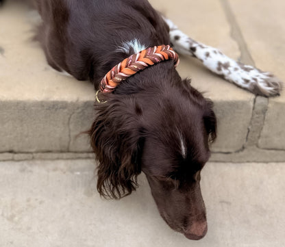 Fettleder Halsband "CHOCOLATE LILY"