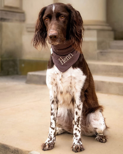 Musselin Hundehalstuch BRAUN