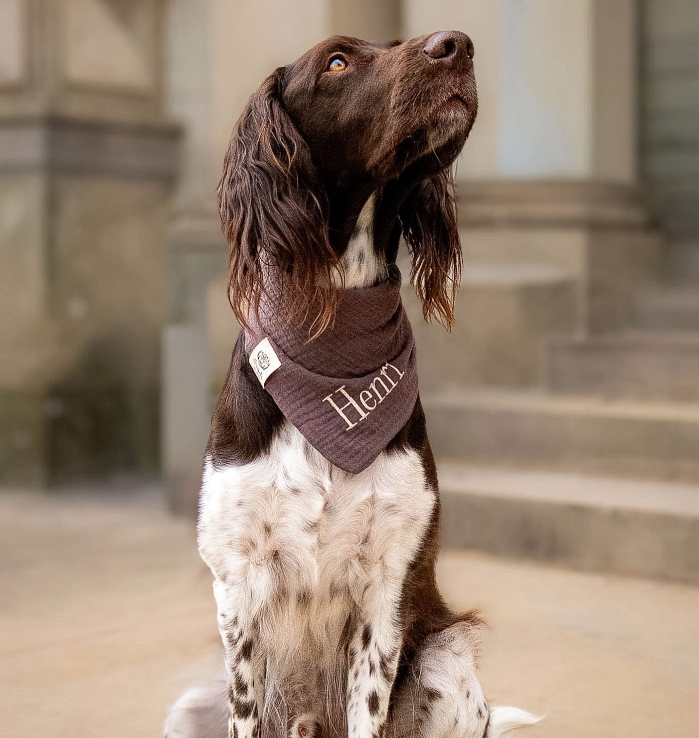 Musselin Hundehalstuch BRAUN