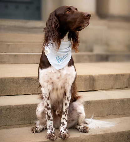 Musselin Hundehalstuch EISBLAU