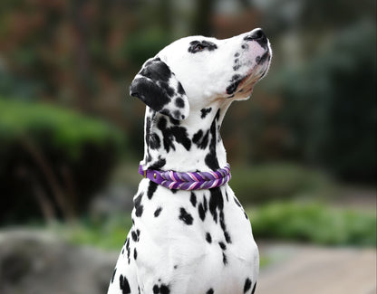 Fettleder Halsband "VIOLET"