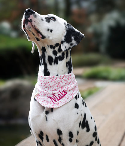 Musselin Hundehalstuch WILDBLUME