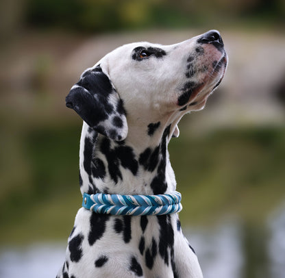 Fettleder Halsband "CORNFLOWER"