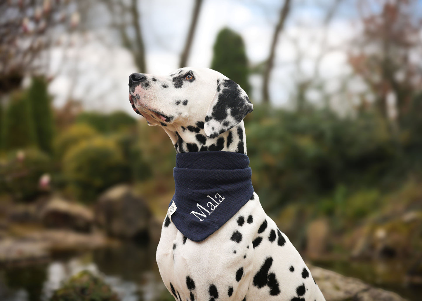 Musselin Hundehalstuch DUNKELBLAU