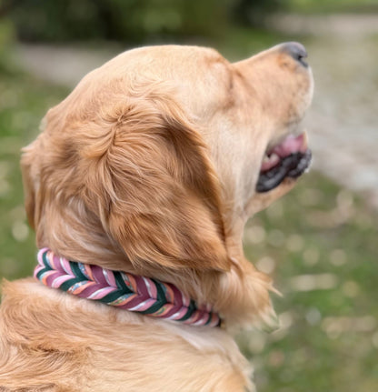 Fettleder Halsband "LOTUS"