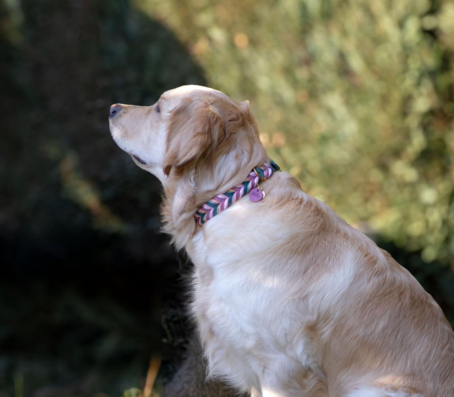 Fettleder Halsband "LOTUS"