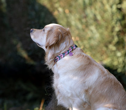 Fettleder Halsband "LOTUS"