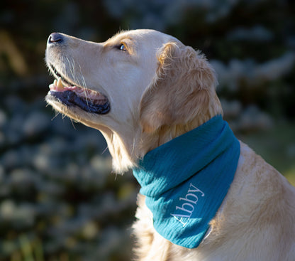 Musselin Hundehalstuch PETROL