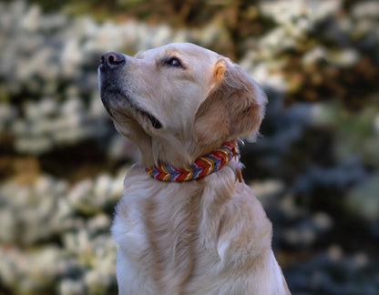 Fettleder Halsband "BOUQUET"