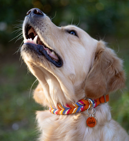 Fettleder Halsband "BOUQUET"